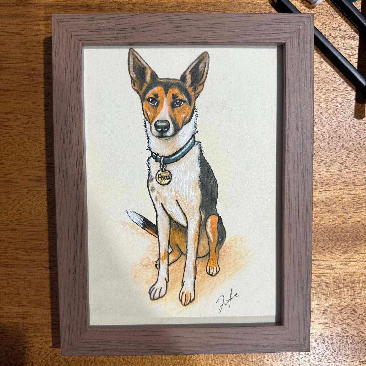 Personalised Pet Portrait