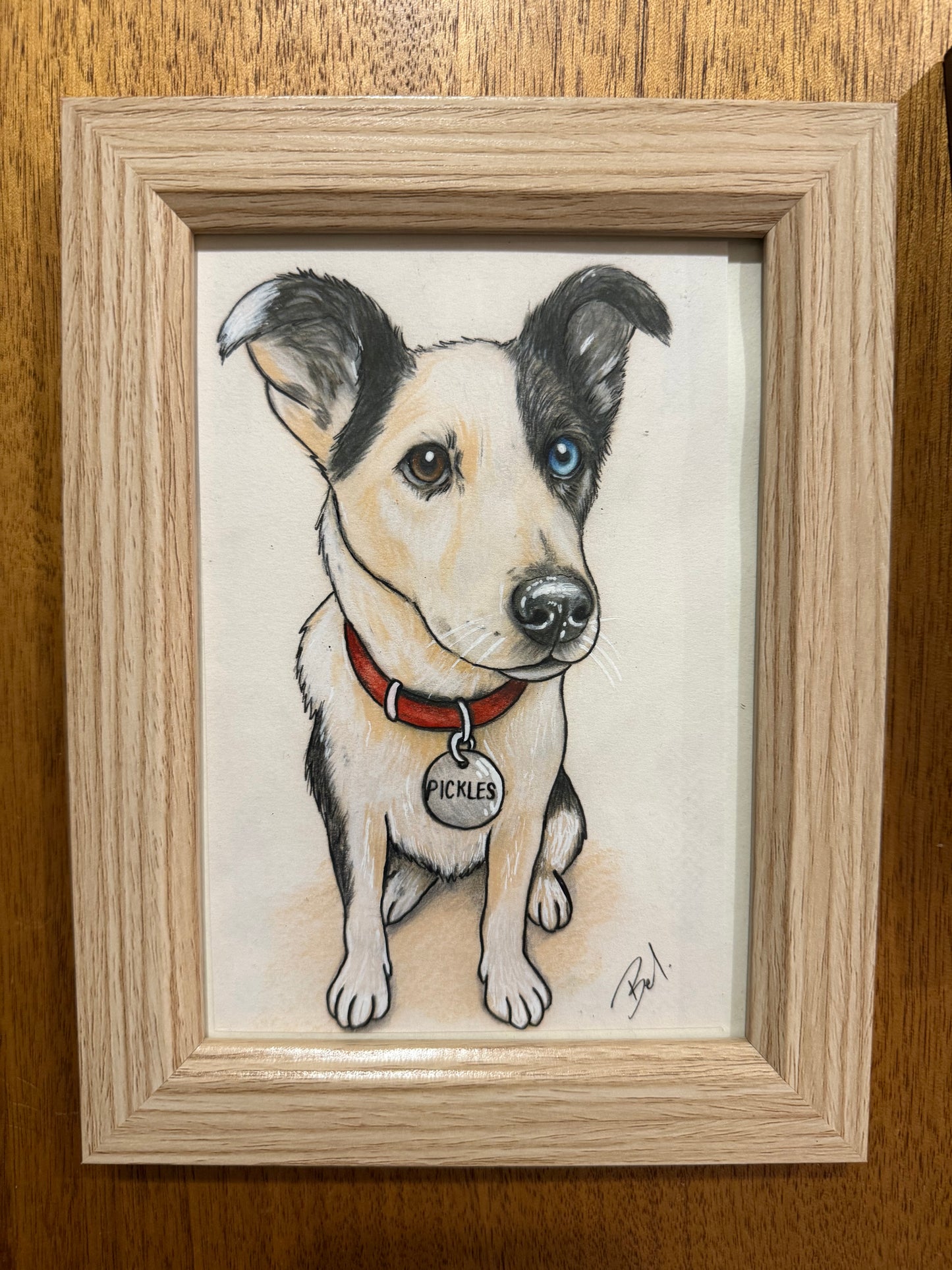 Personalised Pet Portrait